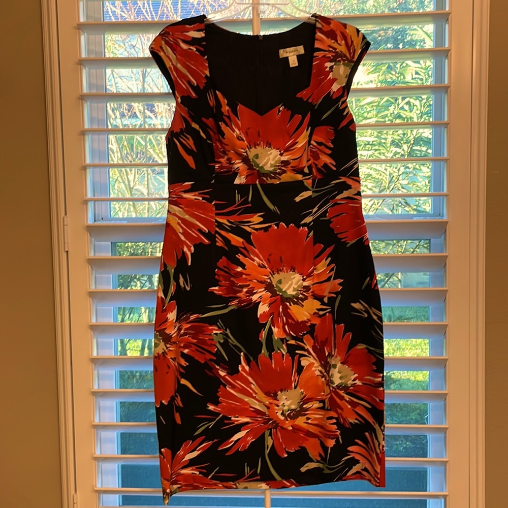 Dressbarn Dress | Size 16 | Color Black and Orange